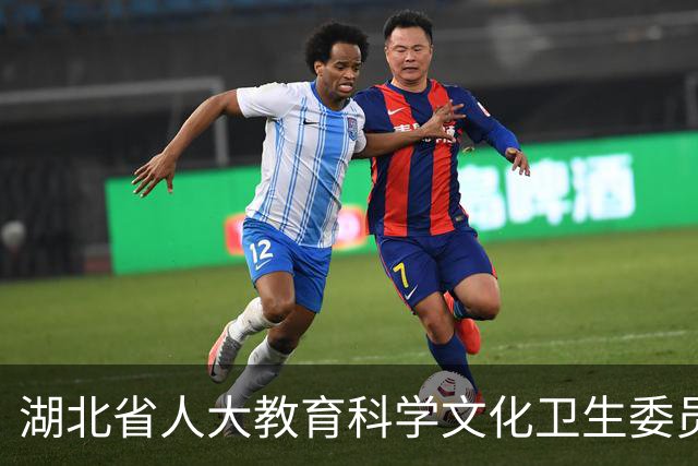 湖北省人大教育科学文化卫生委员会原副主任王炜被开除党籍和公职